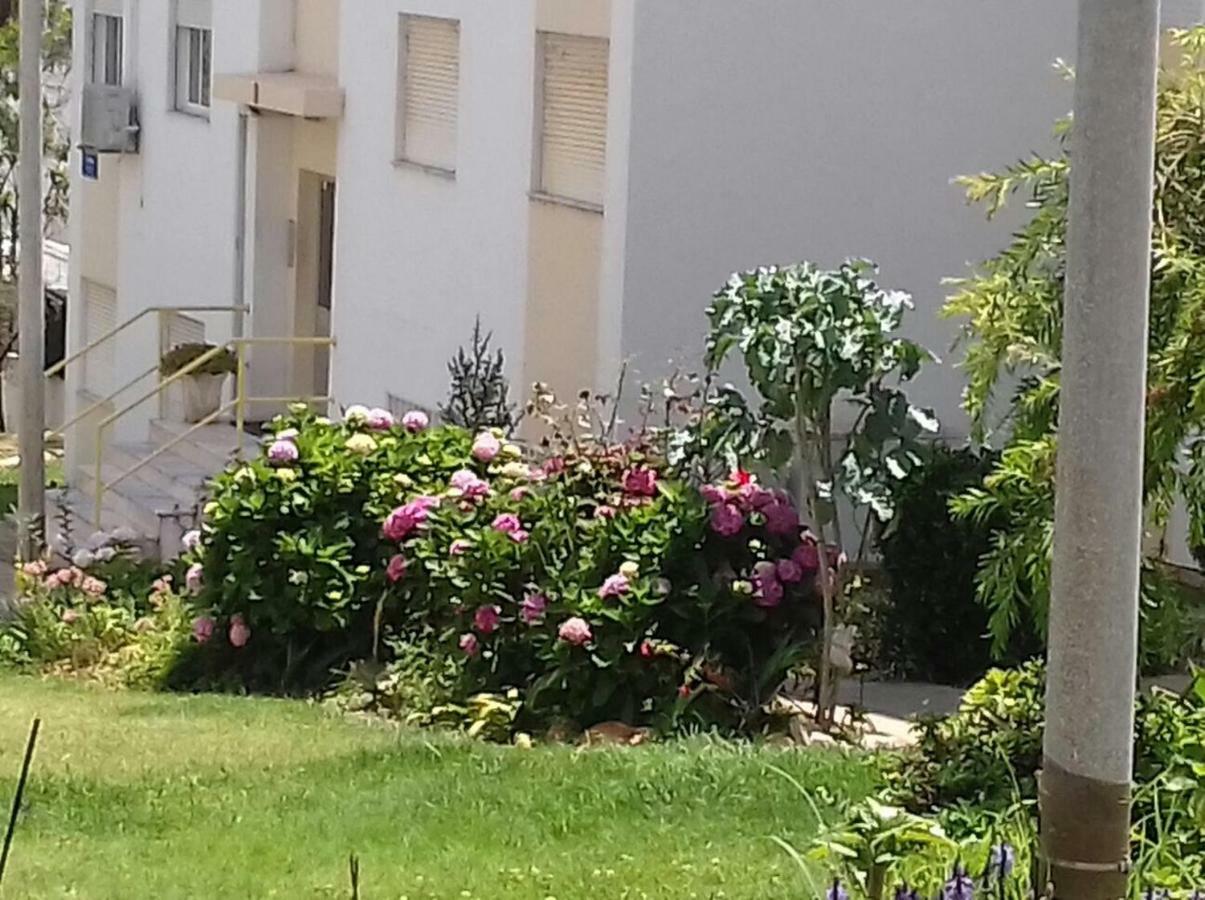 Tiagos Apartament Faro Exterior photo